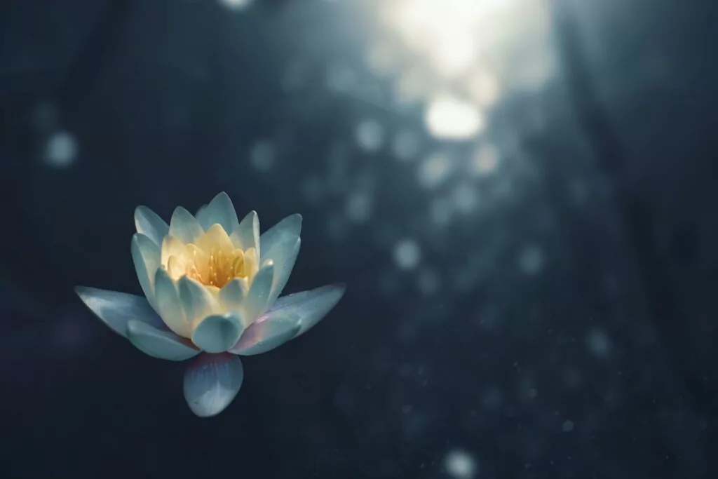 Healing Circle - PLUTO : De waarheid die je hebt ingeslikt